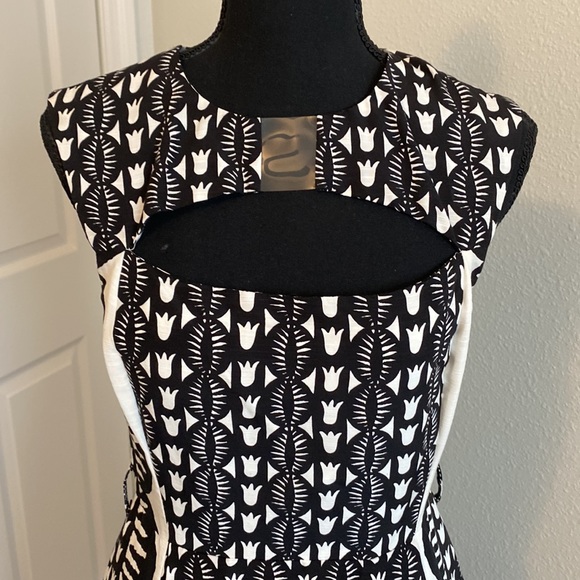 TRACY REESE DRESS⭐️⭐️ - Picture 2 of 15